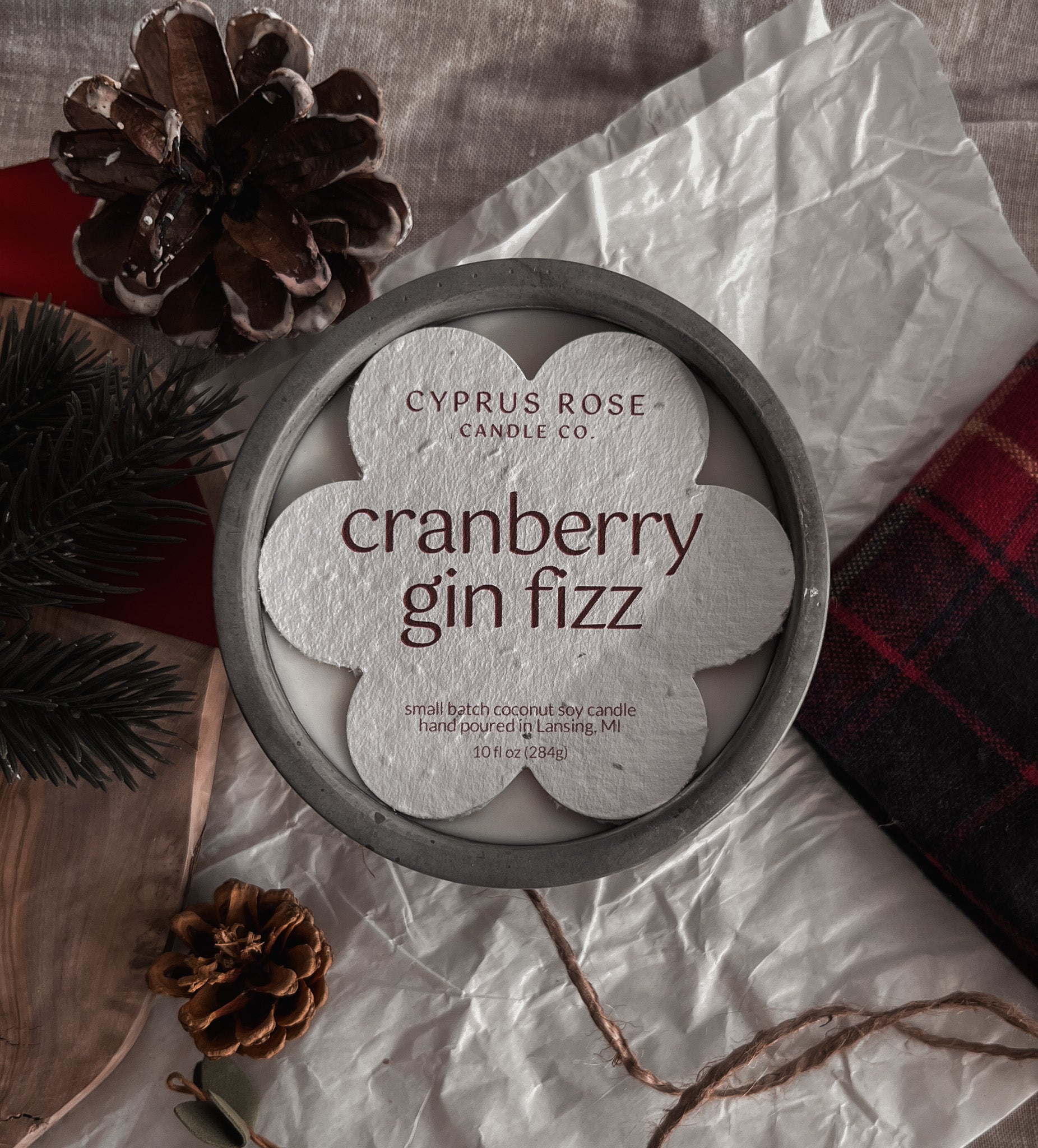 Cranberry Gin Fizz - 10oz Concrete Candle