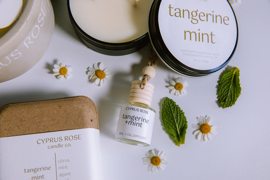 Car Freshies - Signature Collection