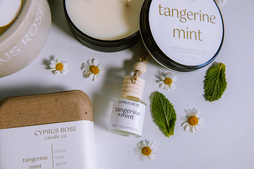 Car Freshies - Signature Collection