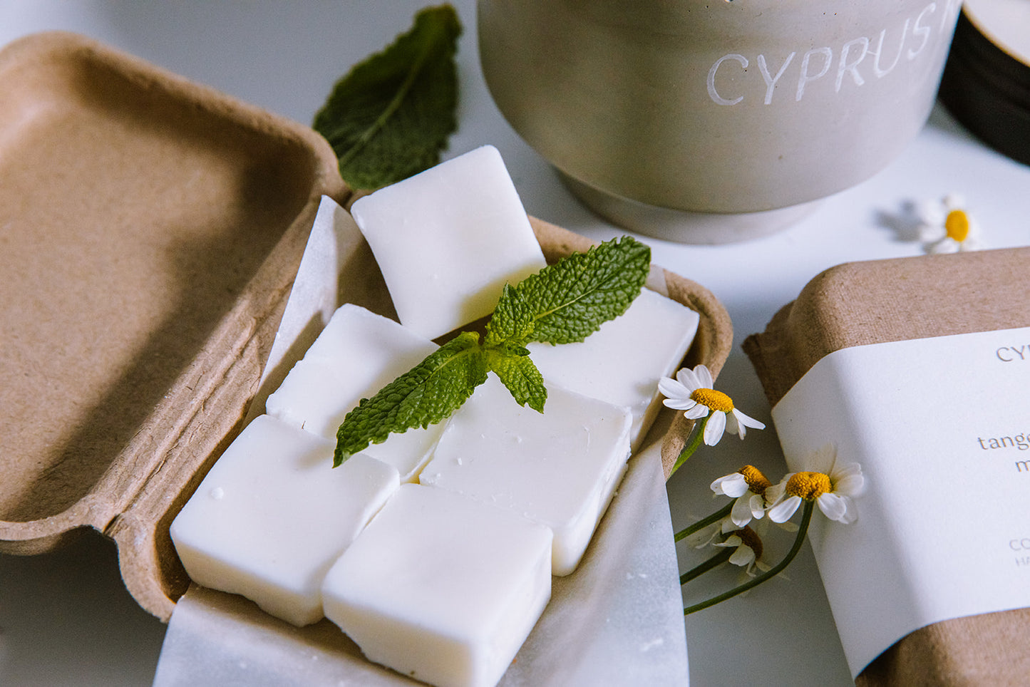 Wax Melts - Signature Collection
