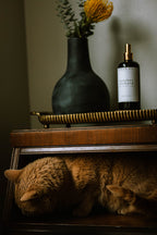 October Orchard Room Spray