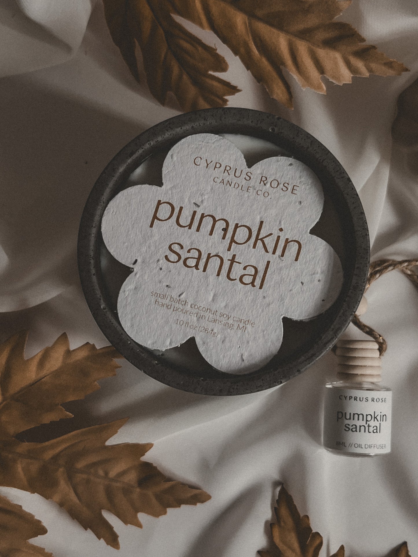 Pumpkin Santal 10oz Concrete Candle