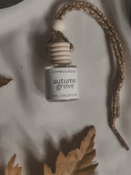 Fall Collection - Car Diffusers